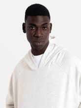 Cargar imagen en el visor de la galería, Polera para Hombre Dunkelvolk HOODIE 3D DSTW GREI DUNKELVOLK
