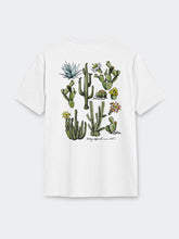 Cargar imagen en el visor de la galería, Polo Dunkelvolk Cactus Core Blanco, Hombre
